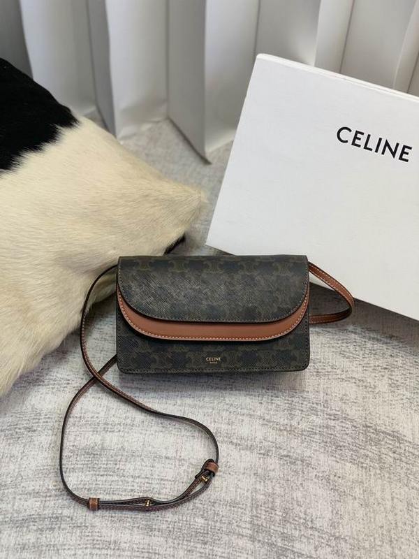 CELINE Handbags 2